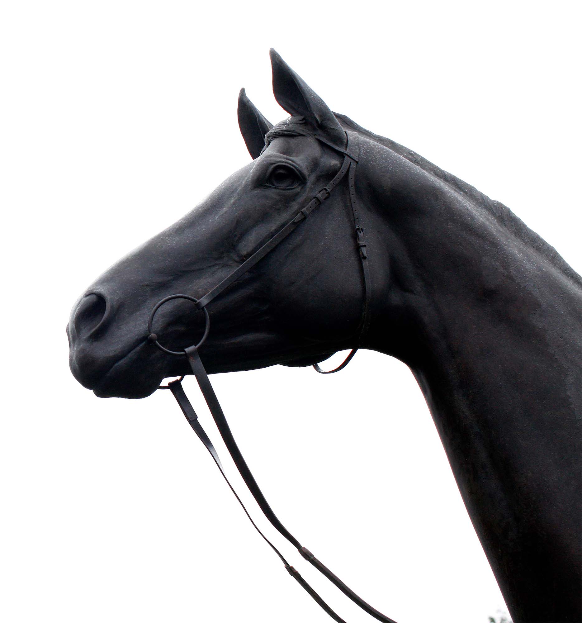 Thomas Lyte are the designers and makers of the Kauto Star racing trophy