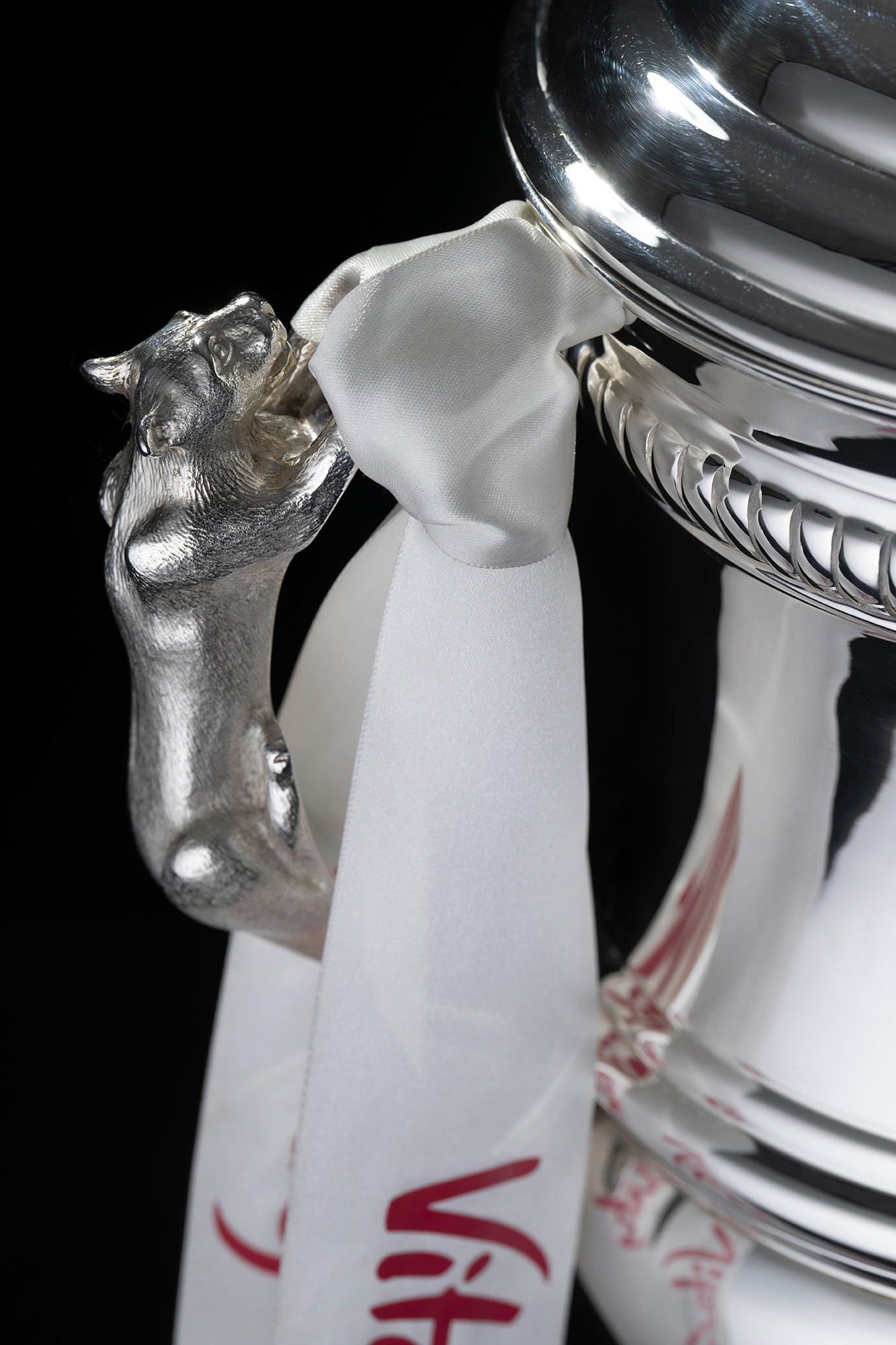 lioness-handle-womens-fa-cup-closeup