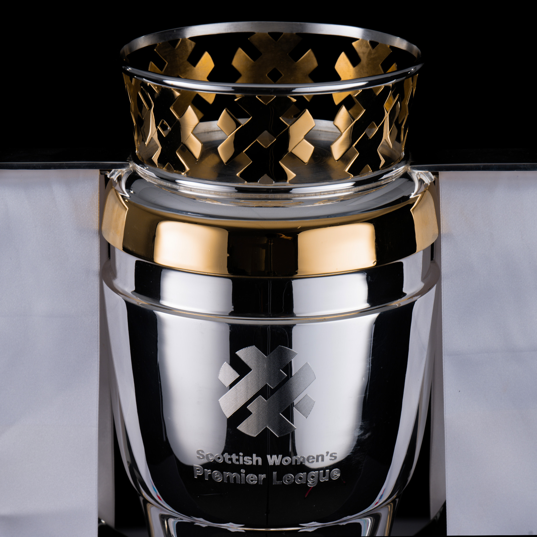 Thomas Lyte Designers and Makers of the SWPL Trophy landscape